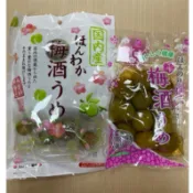 現貨 日本 野澤酒梅 梅子 酸梅 梅酒梅子 腌漬 脆梅