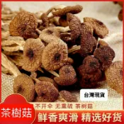 (附發票)高雄現貨 乾茶樹菇（不開傘 菇香濃郁 湯鮮味美 可煮湯 乾鍋）柳松菇 柳松茸 茶樹菇 乾貨 菇類菌類