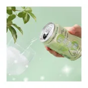 (店+)【台灣富泰】台灣特有種 桂馡微醺 土肉桂葉氣泡飲330ml x12入