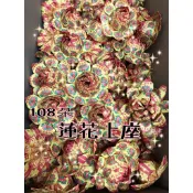 A級往生蓮花頭18張/做七百日對年祭拜清明掃墓祭祀拜拜/金紙蓮花元寶庫錢蠟燭香/批發零售現貨