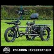 波司頓1號助力三輪自行車腳踏車電助力變速長途差速器碟剎鋁合金（運費咨詢客服P8