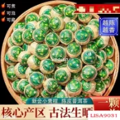 VFBI免運「超惠購」小青柑普洱茶/新會柑普茶/柑橘茶葉濃香型單顆價格【超惠購商城】JHGF