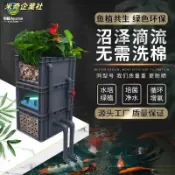 💦米奇企業社💦沼澤過濾箱 自製周轉箱 魚缸魚池過濾器 水池水淨化循環系統 滴流盒