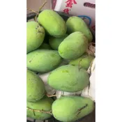 酸芒果生芒果 10台斤