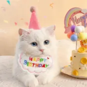 【戶外散步專用】寵物生日帽 狗狗生日 貓咪生日 狗生日帽 生日領巾寵物狗狗貓咪帽子領巾圍兜狗聚派對生日快樂【不勒脖子】