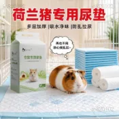 🔥限價特賣 闆娘推薦倉鼠尿墊兔子墊料花枝鼠龍貓松鼠墊子吸水隔尿片寵物籠用品批發