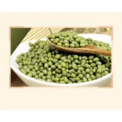 ✨現貨✨毛綠豆 300g、600g