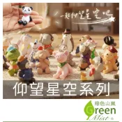 仰望星空特別版 仰望星空小動物 Zakka 微景觀 仰望天空小動物 療癒系擺飾 擺件 仰望星空【綠色山嵐】