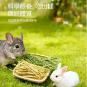 精選牧草 過篩甜燕麥 燕麥草 甜小麥草 苜蓿 提摩西一割 二割 百慕達 高纖磨牙兔子龍貓豚鼠全齡段主食營養充足適口性好