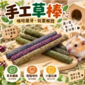 提摩西草棒🍊25根/瓶 磨牙 牧草 苜蓿草 甜燕麥 草棒好棒棒 草棒 草餅 草條 提摩西草餅 兔子精緻手工草餅
