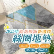 玄關絲圈地墊 門口地墊 颳泥地墊 大尺寸絲圈地墊 大門地墊 進門地墊 腳踏墊 PVC地墊#QSDD