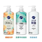 🍀有發票🍀日本花王 kao  洗碗精 清潔 去油 按壓式 中性 低刺激 抑菌速淨 480ml 多款任選