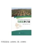 馬尾松種子園9787503893292 正版新書正浩圖書專營店 書 正版