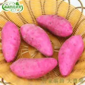滿299出貨 假水果模型 假水果 仿真水果 假蔬果 假蔬菜 仿真紫薯泡沫假番薯紅薯地瓜高仿假蔬菜模型櫥窗攝影裝飾早教道具