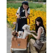 【開立發票】免運 yoyosister寵物車 它博會同款倒騎三輪車 自行車兒童 寵物貓狗腳踏車