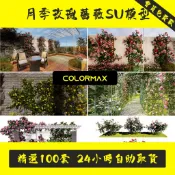 月季玫瑰花薔薇花SU模型爬藤植物樹狀棒棒糖圍墻花架草圖藤本