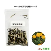 H04.金峰萬壽菊種子200顆(美化綠化環境作物) 花卉種子 花類種子 園藝種植 萬壽菊【綠藝家】
