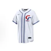 (店+)【NIKE 耐吉】Nike Chinese Taipei 台灣 WBC 經典賽 短袖棒球衣 男款 中華隊 RE260GZ1WBF-UFA