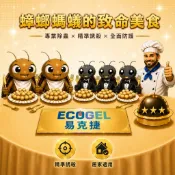 ECOGEL易克捷除蟑除蟻盒15公克任選組 歐洲原裝進口蟑螂藥螞蟻藥只要一點絕對讚