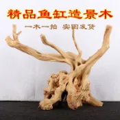 *🔥臺中🔥魚缸造景沈木杜鵑根枝條樹枝老樹樁樹根紫柚水族箱南美缸裝飾木頭