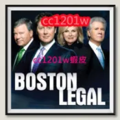 CC影視*波士頓法律.Boston Legal1-5 美劇中文字幕不是DVD光碟