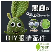 DIY眼睛配件 黑白散裝 寵物石頭眼睛 眼睛貼紙 園藝裝飾 多肉植物裝飾【綠色山嵐】