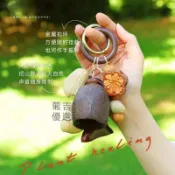 音療樂器✅可開票🔥台灣出貨🔥果殼風鈴 冥想 瑜珈 打坐 植物果殼手搖鈴 鑰匙掛件 手工製作 揹包車掛裝飾 禮物