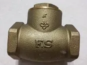 買一送一 FS 富山橫式逆止閥 2 “