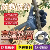 ❀熱賣爆款❀牛皮防護防刺手套園林園藝修剪玫瑰月季摘花椒刺剝板栗子防滑防扎 戶外手套 安全手套 砍樹手套 防護手套