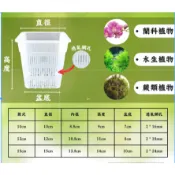 發票現貨～方形透氣盆(多尺寸) 網盆氣 根植物栽培 蘭花 蕨類 水耕盆 高度透水 透氣 透氣盆 控根盆 塑膠花盆
