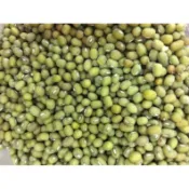 板橋買毛綠豆 此商品為散裝 SGS檢驗合格
