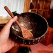 純天然椰子殼碗 東南亞越南泰國椰殼碗 木勺 海南老椰子殼水果沙拉碗 雞翅木勺子筷子