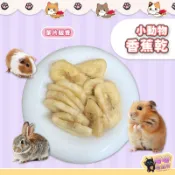 喵喵物流所 小動物用香蕉乾 倉鼠水果乾 倉鼠零食 小寵果乾 小寵草香蕉乾 三線鼠 黃金鼠 鼠兔零食 倉鼠點心 小動物零食
