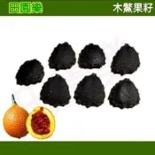 《田園樂》木鱉果 木鱉果籽 木鱉果種子 木鱉果實 木鱉子 越南種 大果品種 木鱉果苗 木鱉果 木鱉青果 木鱉熟果