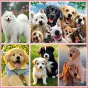 可愛狗狗拼圖 木製拼圖 300片500片1000片拼圖 兒童玩具 潮玩解壓 益智玩具 生日禮物