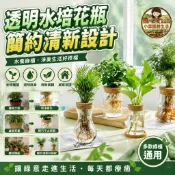 ║小霖園藝║水培花瓶 迷你花瓶 透明簡約創意水培 植物玻璃花瓶 水養綠蘿九里香羅漢松盆栽插花瓶