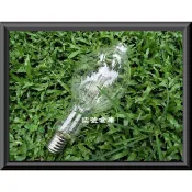 柒號倉庫 戶外水銀燈 220V500W清光水銀燈泡 E40燈頭 免用安定器 透明水銀燈泡 夜市擺攤 誘蟲燈 抓蟲集蟲燈