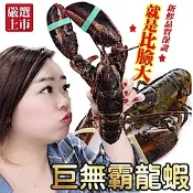 【海陸管家】加拿大波士頓螯龍蝦(每隻400g-500g) x1隻