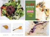 太平二號蚯蚓養殖~鳳凰蟲(黑水虻卵)廚餘小幫手.紅蚯蚓活體~有機肥DIY~ 釣魚活餌.奇岩捷運站