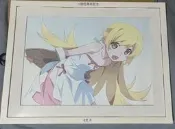 『潮集雲屋』正版  Bandai 萬代  廠  物語系列  化物語  傷物語 偽物語   忍野忍  小忍 五周年