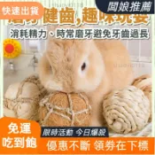 【CP宠物】兔子玩具 提摩西草球 草球 磨牙草球 牧草球 編織草球 天竺鼠玩具 啃咬玩具 磨牙玩具