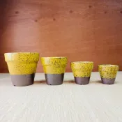 Rainxpluie 知雨若泥 多肉盆栽•小花盆組盆•小豆盆•台灣出貨•桌面植株•園藝造景•黃色繽紛點點俄羅斯娃娃小盆栽