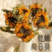 乾燥向日葵 乾燥花 裝飾花 居家裝飾 花藝 花束 情人節 花材 diy插花 永生花 不凋花 卡斯比亞 星辰花 插花花材