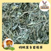 寵物牧草🌟特級葉多苜蓿草🐰頑兔草坊 幼兔主食牧草 免運現貨 天竺鼠主食牧草 提摩西草/甜燕麥草/果園草/苜蓿草/百慕達草