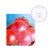 (店+)【蔬菜之家】G80-1.櫻福鮮果番茄種子3顆粉紅番茄，口感佳甘甜鬆軟多汁，糖度可達8度。果菜類種子
