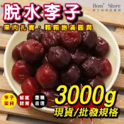 波士多 古早味蜜餞 脫水李 酸甜李子 3000g量販包 剉冰配料 蜜餞批發 古早味零食
