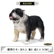 🌸（3款）仿真 沙皮狗 肉嘴 狗狗 小狗 鬥牛犬 沙皮狗 肉嘴 狗狗 小狗 鬥牛犬 動物 模型