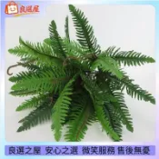 🌾仿真花 10款大號仿真波斯草 小波斯葉仿真花蕨葉仿真植物牆配材婚慶裝飾 蕨類綠植 仿真植物 仿真 裝飾 假花