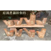 台灣櫸【紅雞油】原木木柱//藝品盆景奇石陶藝擺設底座/置物架/雕刻裝飾用材