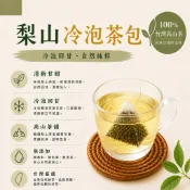 梨山冷泡茶 高山茶包 清香回甘 冷泡熱泡兩用 冷泡茶 銅板價茶飲 梨山清香冷泡茶